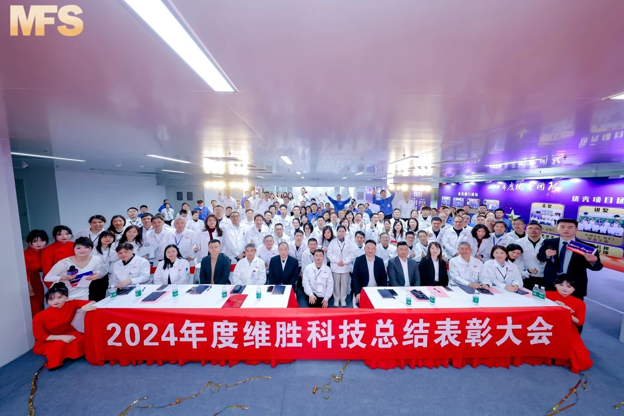 守正铸品质 立异赢未来|维胜科技2024年度表扬大会圆满落幕